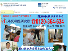 Tablet Screenshot of midori-seitaiin.com